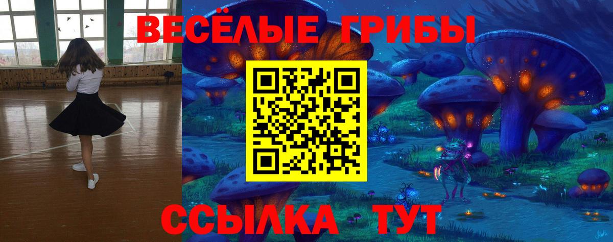 Галлюциногенные грибы GOLDEN TEACHER Якутск