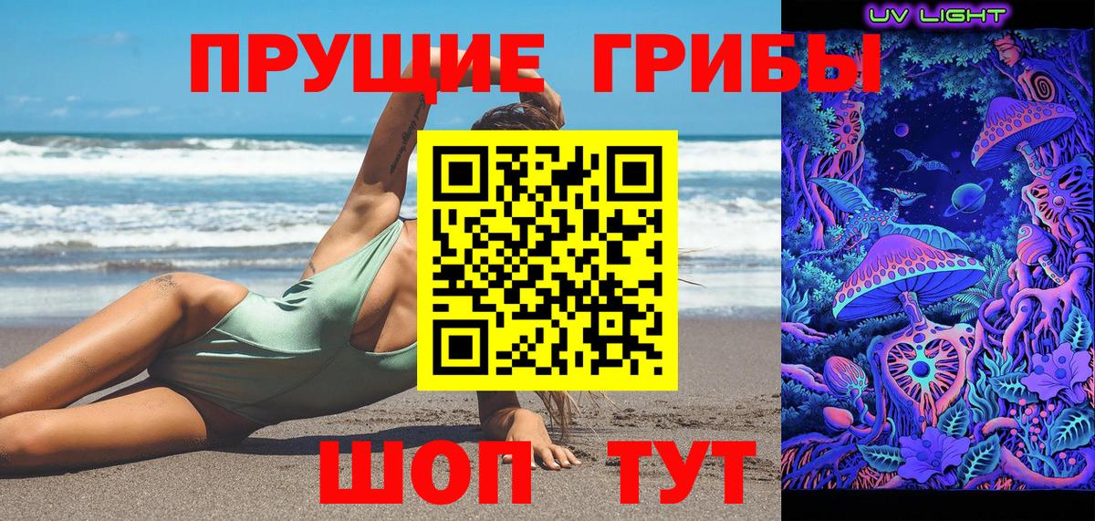 Псилоцибиновые грибы Psilocybine cubensis  Вход с VPN  Якутск 